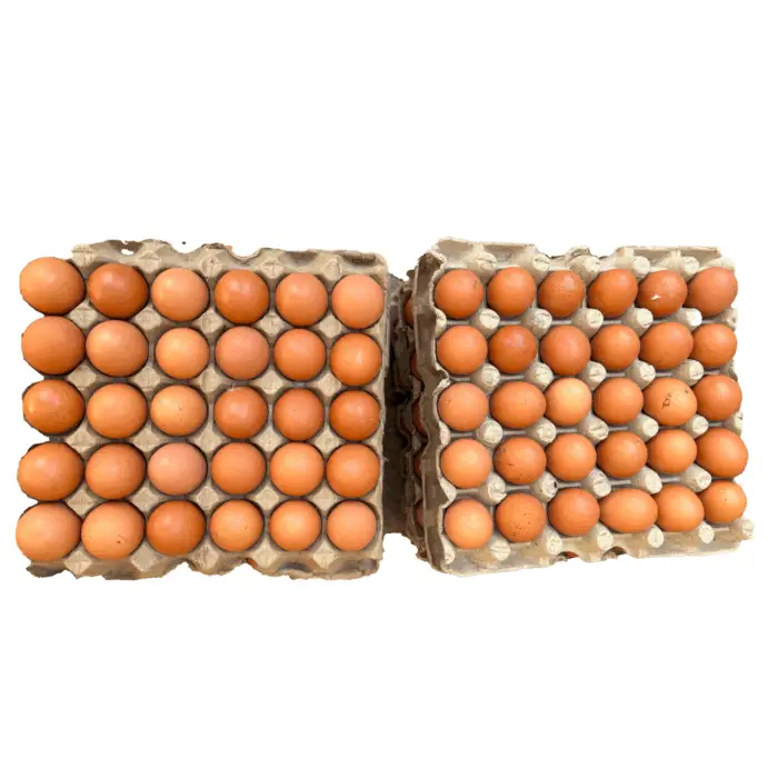 Amagi / Eggs