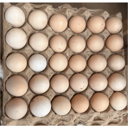 Eggs - Amanyarwanda