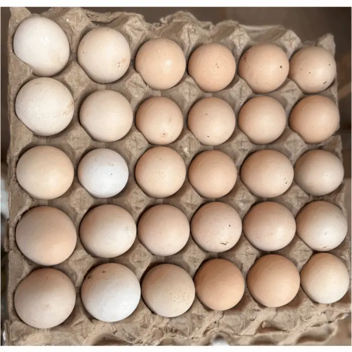 Eggs - Amanyarwanda
